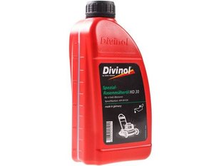 Олива для газонокосарок DIVINOL Spezial-Rasenmaherol HD 30 0,6л 142665 48330 фото